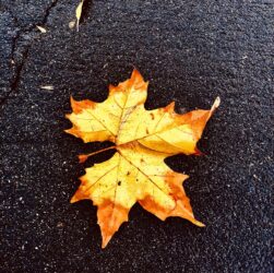 Come affrontare il cambio di stagione