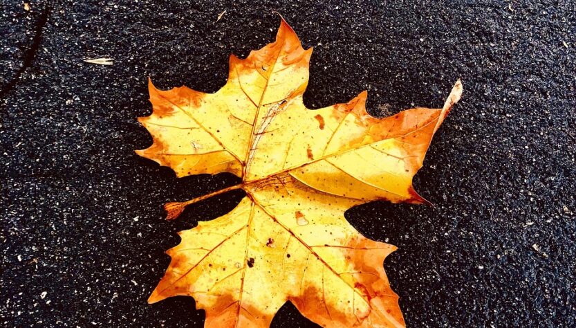 Come affrontare il cambio di stagione