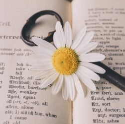 I servizi che non ti aspetti da un’agenzia di traduzione