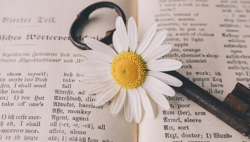 I servizi che non ti aspetti da un’agenzia di traduzione