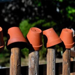 Come scegliere i vasi da giardino