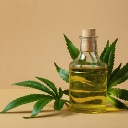 Vantaggi e benefici dell’olio di canapa
